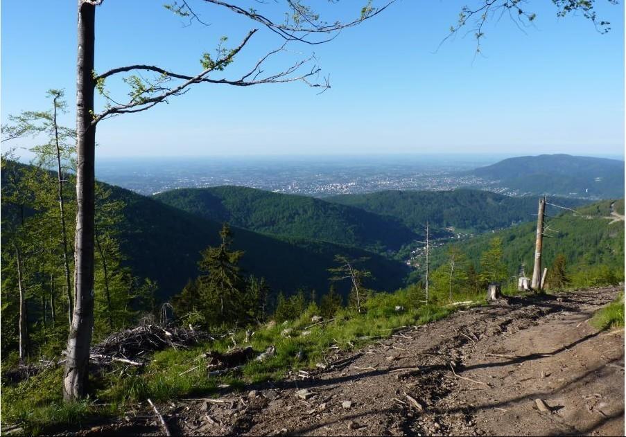 Willa Pod Modrzewiem Szczyrk Ruang foto